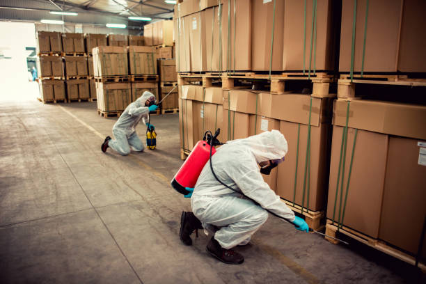 Best Wasp Removal Services  in Lipatria, CA