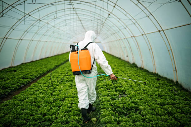 Best Exterminator Services  in Lipatria, CA