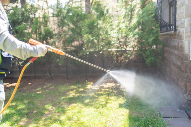Best Termite Control Services  in Lipatria, CA