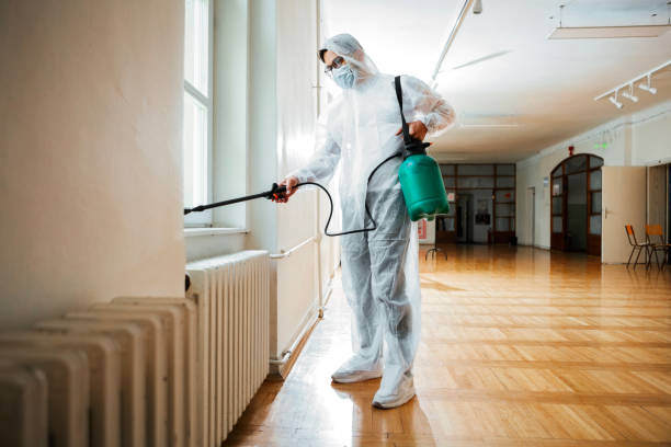 Professional Pest Control in Calipatria, CA