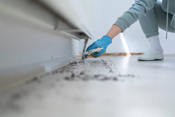 Best Affordable Pest Control Services  in Lipatria, CA